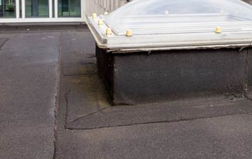 disadvantages of Colvister flat roofs