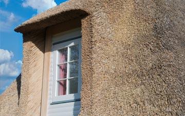 Colvister thatch roof disadvantages